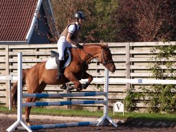 IMG_7023_web